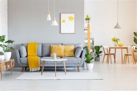 The Basic Difference Between Living Room and .